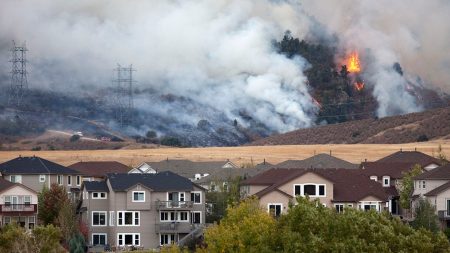 Does Homeowners Insurance Cover Wildfire Damage?
